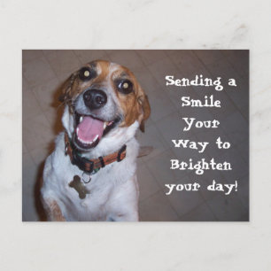 Cartão Postal Molly Smile!