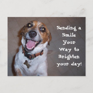 Cartão Postal Molly Smile!