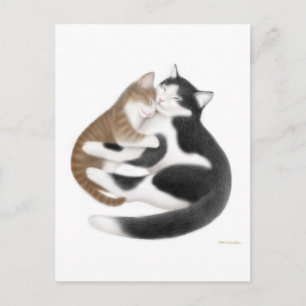 Cartão postal Momcat