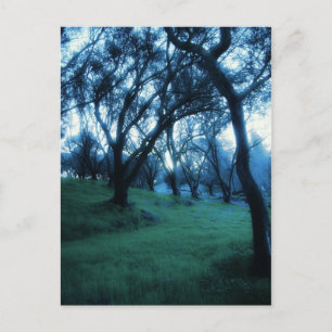 Cartão Postal Momento Ético