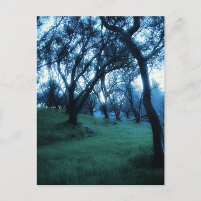 Cartão Postal Momento Ético (Frente)