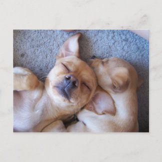 CARTÃO POSTAL MOMENTO NO TEMPO