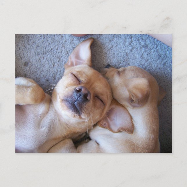 CARTÃO POSTAL MOMENTO NO TEMPO (Frente)