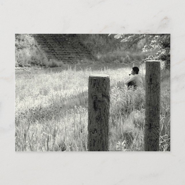 Cartão Postal Momento pacífico (Frente)