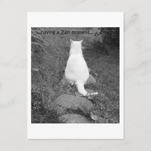 Cartão Postal Momento Zen (Frente)