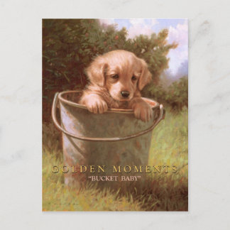 Cartão Postal MOMENTOS DO ouro