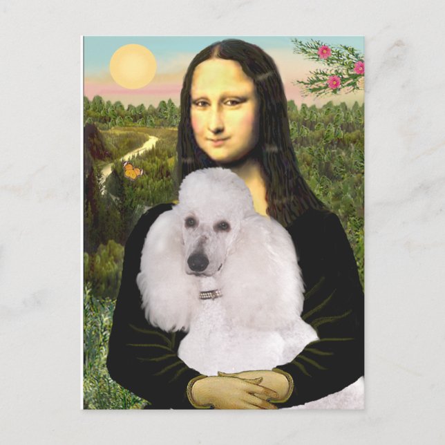 Cartão Postal Mona-Pood-Branca-Poodle Standard (Frente)