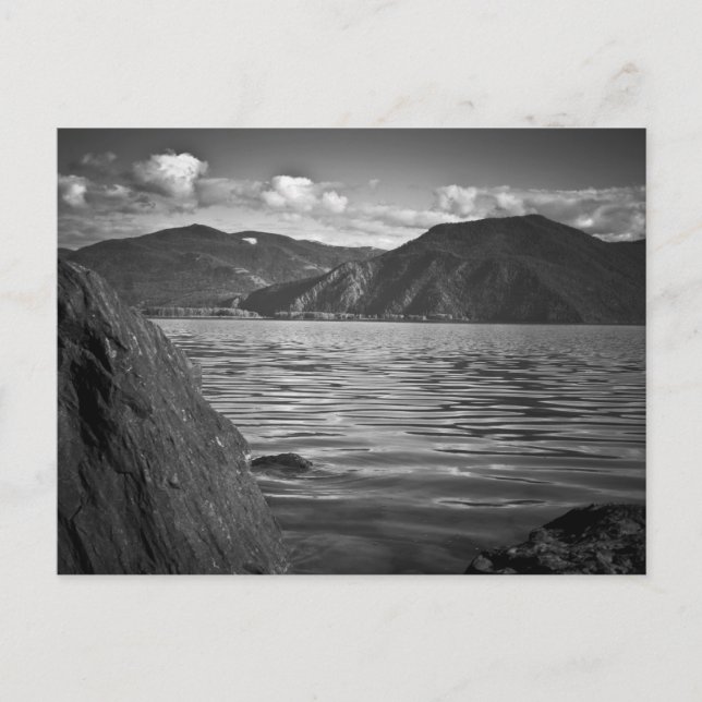 CARTÃO POSTAL ~ Monarcas Verdes ao Longo do Lago P (Frente)