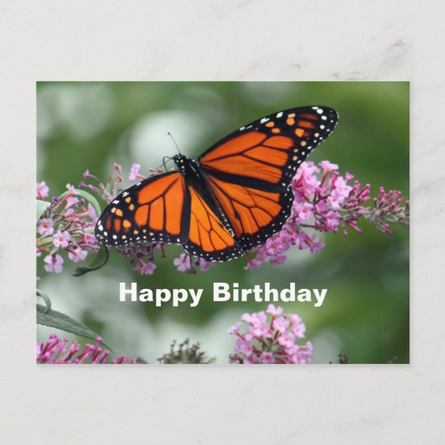 Cartão Postal Monarch Orange Butterfly Foto Floral Aniversário (Frente)