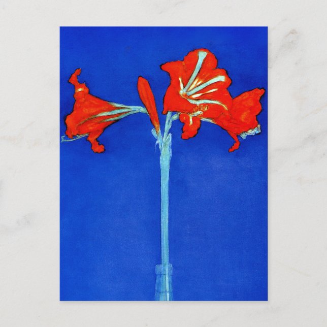 Cartão postal Mondrian Amaryllis (Frente)