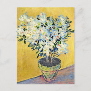 Cartão Postal Monet - Azaléias Brancas em um Vaso,