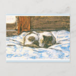 Cartão Postal Monet, Cat Dormindo na cama<br><div class="desc">Monet,  Cat Dormindo na cama</div>