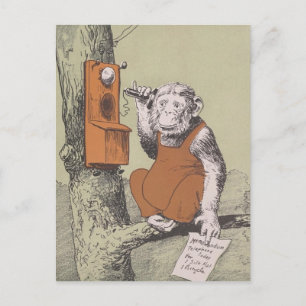 Cartão Postal "Monkey Business Call"
