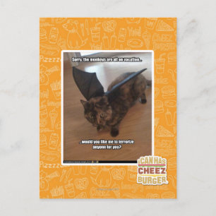 Cartão Postal Monkeys on vacation