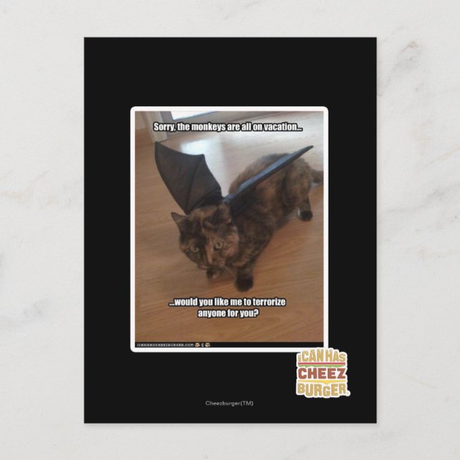 Cartão Postal Monkeys on vacation (Frente)