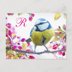 Cartão Postal Monograma de aves Springtime