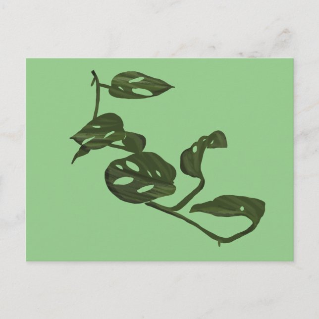 Cartão Postal Monstera Adanosii Queijo Ilustração Verde (Frente)