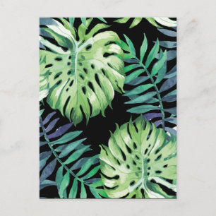 Cartão Postal Monstera Deliciosa Ilha do Havaí Folga de Trópic