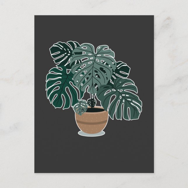 Cartão Postal Monstera Plant BeauLinda Plant (Frente)