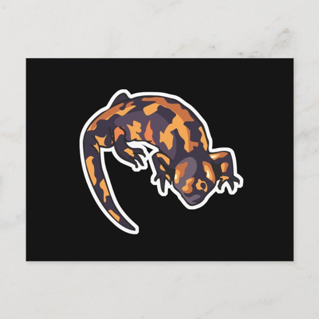 Cartão Postal monstro da gila (Frente)