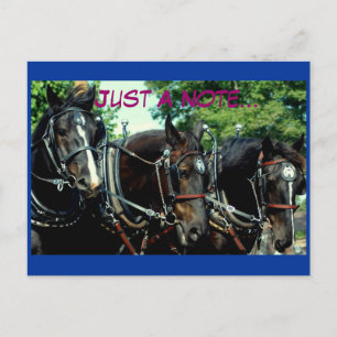 Cartão Postal monstro de cavalos