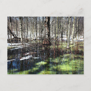 Cartão Postal Mont-Royal