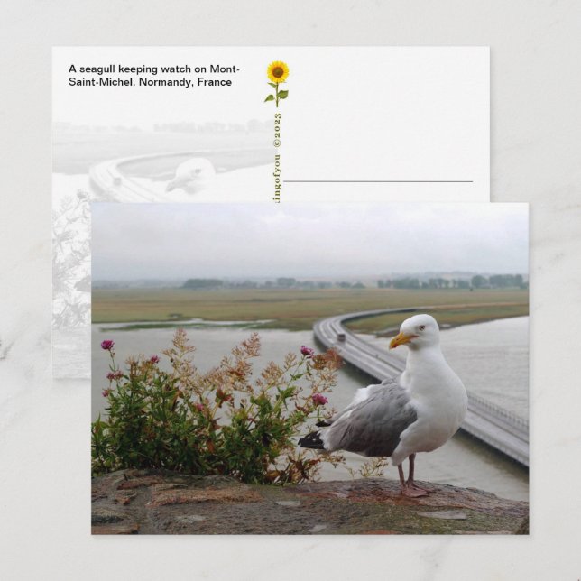 Cartão Postal Mont-Santo-Michel Lookout, Normandia, França - (Frente/Verso)