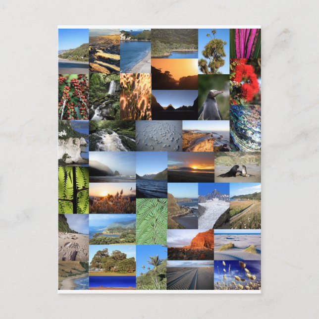 Cartão Postal Montagem paisagística neozelandesa Kiwiana (Frente)