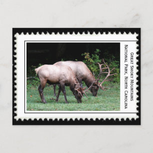 Cartão Postal Montagens do Enfumaçado do excelente