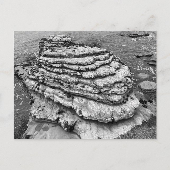 Cartão Postal Montaña de Oro State Park Califórnia (Frente)