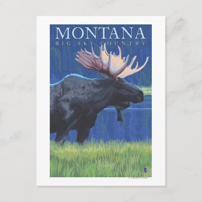 Cartão Postal Montana - Grande Céu - Moose à Lua (Frente)