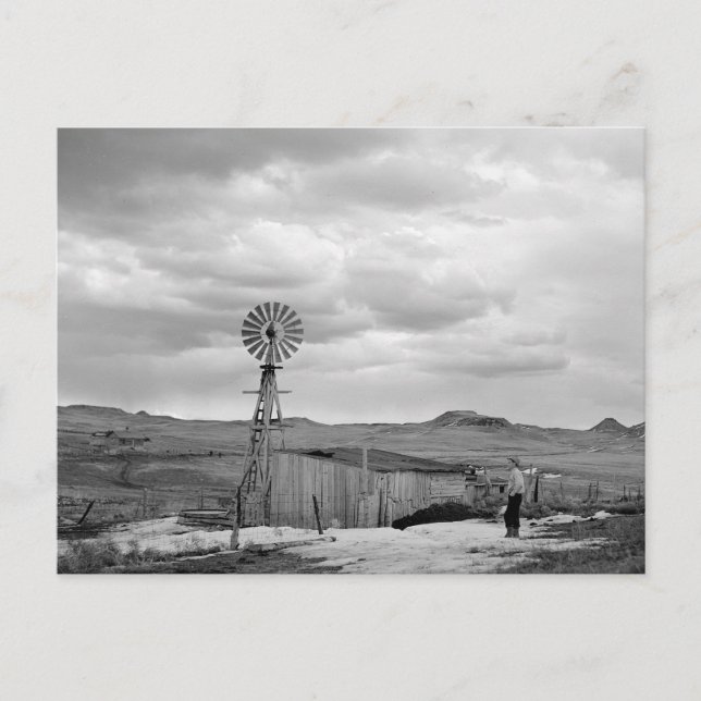 Cartão Postal Montana Sheep Ranch, 1942 (Frente)