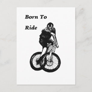 Cartão Postal Montanha Biker MTB BMX CYCLIST Cyclo cross