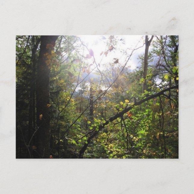 Cartão Postal montanha cascata (Frente)