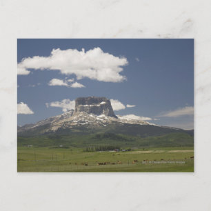 Cartão Postal Montanha-Chefe Com Pastagens De Grazing