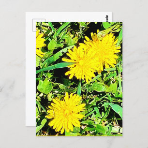 Cartão Postal Montanha Dandelions Pic Da Primavera Ottawa Canadá