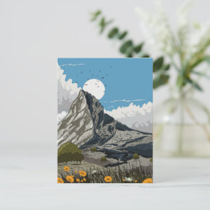 Cartão Postal Montanha Prado de Flores Silvestres
