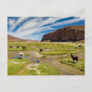 Cartão Postal Montanhas   Andes Bolivianas