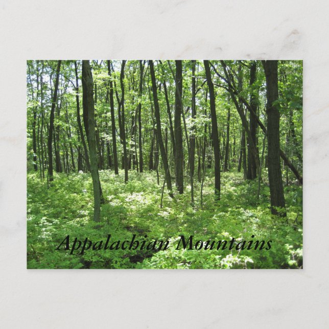 Cartão Postal Montanhas Appalachian (Frente)