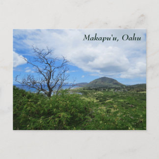 Cartão Postal Montanhas Cênicas Makapu'u Oahu Hawaii