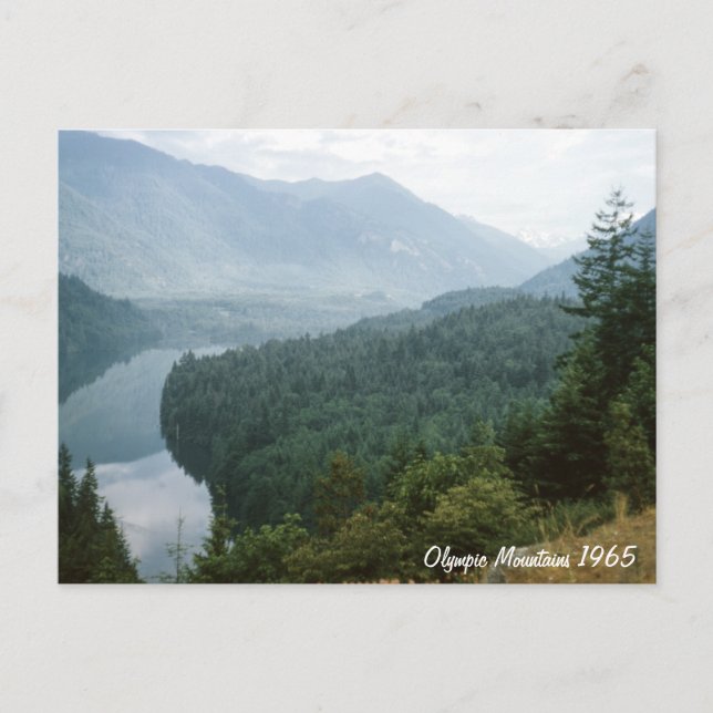 Cartão Postal Montanhas de olimpiadas (Frente)