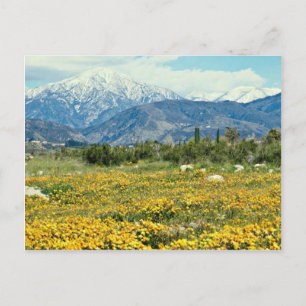 Cartão Postal Montanhas de San Bernardino, neve, flores flores