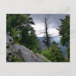 Cartão Postal Montanhas do enfumaçado do excelente Chimney Tops