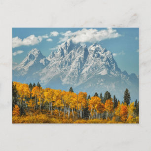 Cartão Postal Montanhas Grand Teton na Queda