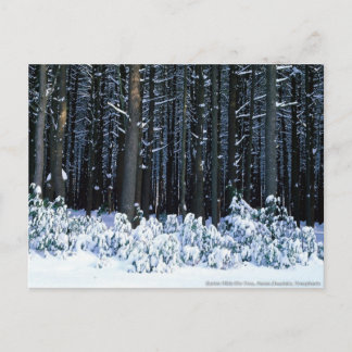 Cartão Postal Montanhas Pocono. Pensilvânia