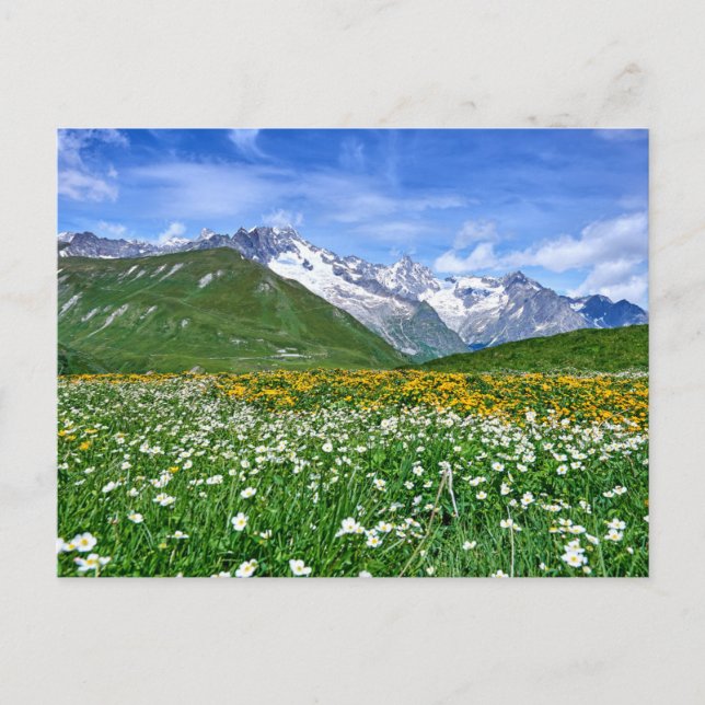 Cartão Postal Montanhas | Primavera do Vale dos Alpes suíços (Frente)