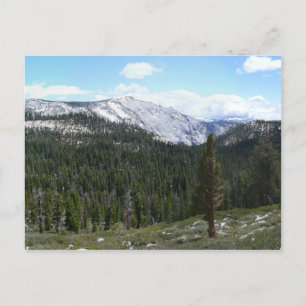 Cartão Postal Montanhas Sierra Nevada II vistas de Yosemite