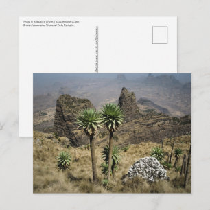 Cartão Postal Montanhas Simien Etiópia