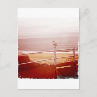 Cartão Postal Montauk Seagull Love 3.0