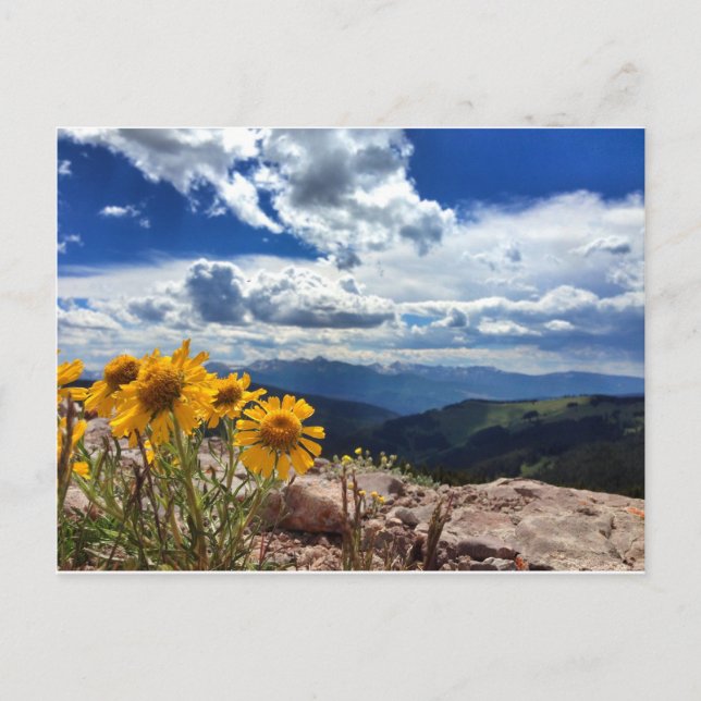 Cartão Postal Monte da Cruz Santa (Frente)